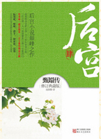 后宫：甄嬛传 4