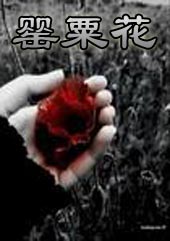 罂粟花
